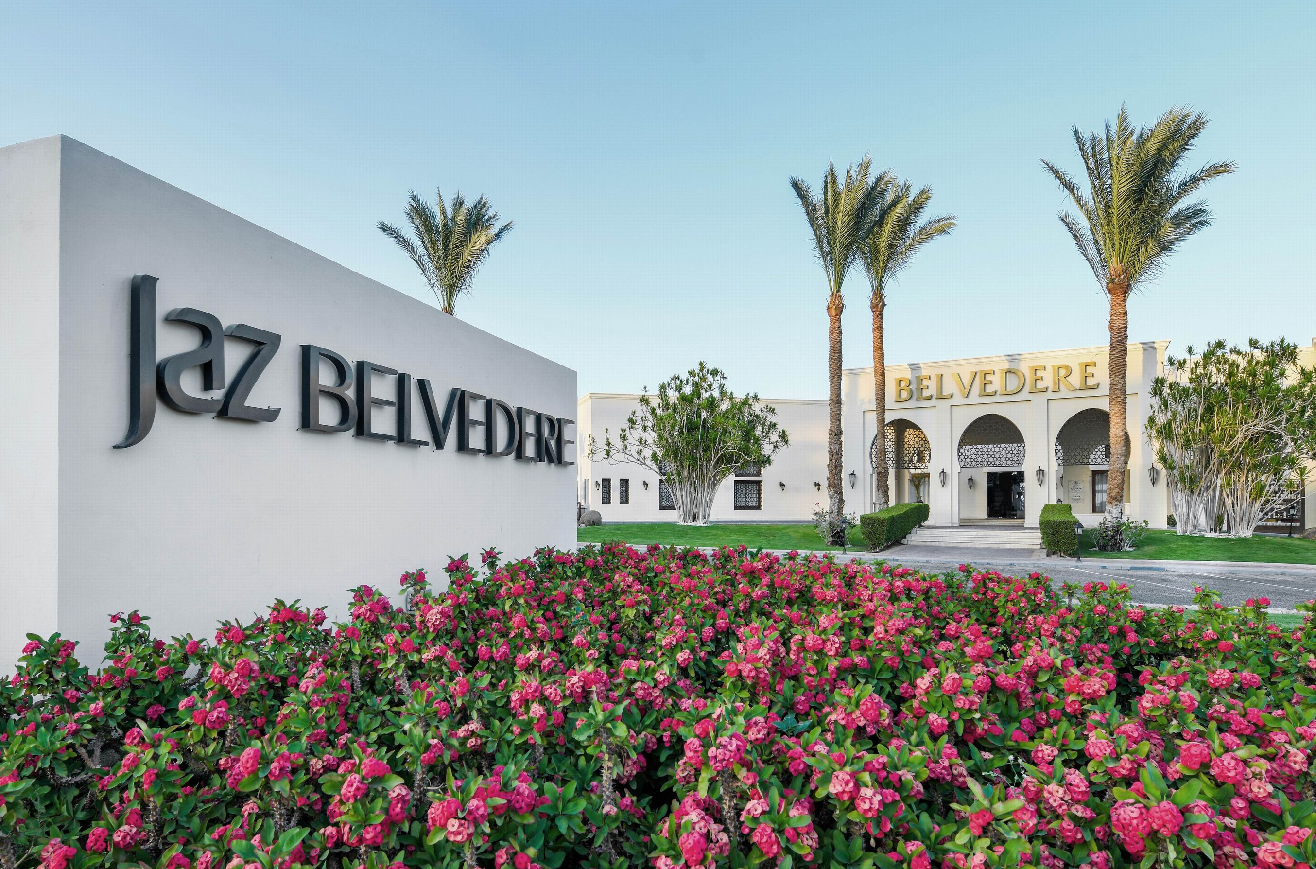 Jaz belvedere 5 египет шарм эль шейх. Jaz Belvedere Sharm el Sheikh. Jaz Belvedere Resort 5 Шарм-Эль-Шейх. Супериор Гарден Вью Египет. Египет 2024.