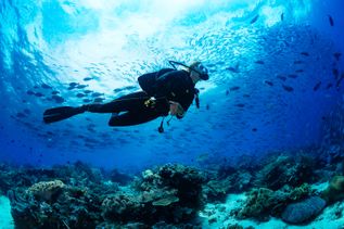 diving