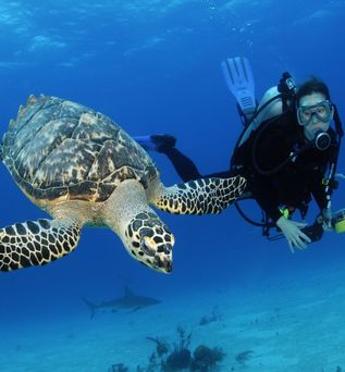Diving Center in Marsa Alam